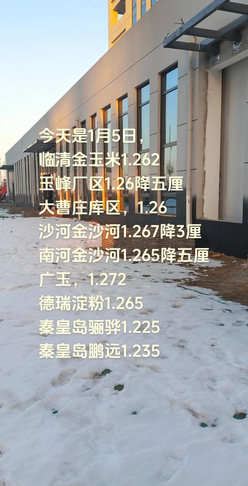 小麦收购