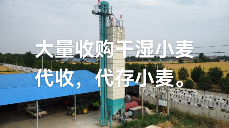 本地粮食收购价格