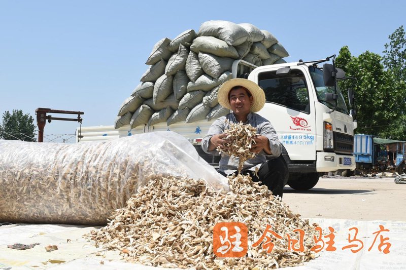 毛集实验区农作物收购情况：助力农民增收，保障市场供应